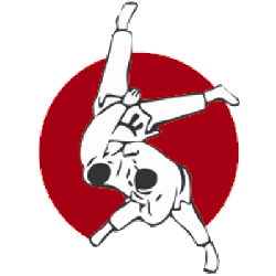 Banner  panorámico de Holistic Palma centro de Artes Marciales y Medicina Tradicional China a cargo del Maestro Daniel Rueda Chinchilla y Dra. Laura Cinca Travesset con Aikido y disciplinas asociadas a cargo del sensei José Riera Luís